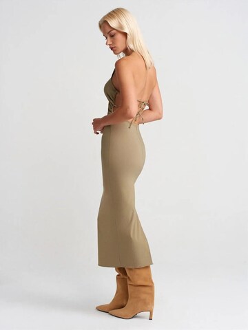 Dilvin Midi Kleid in Grün