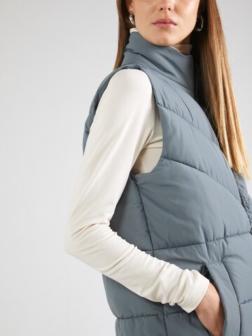 Noisy may Vest 'DALCON' in Blue