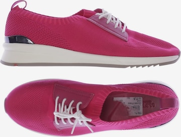LLOYD Sneakers & Trainers in 41 in Pink: front