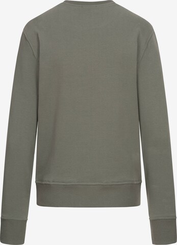 Cotton Candy Sweatshirt 'Balda' in Grün