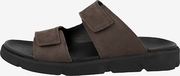 GEOX Mules 'Xand' in Brown
