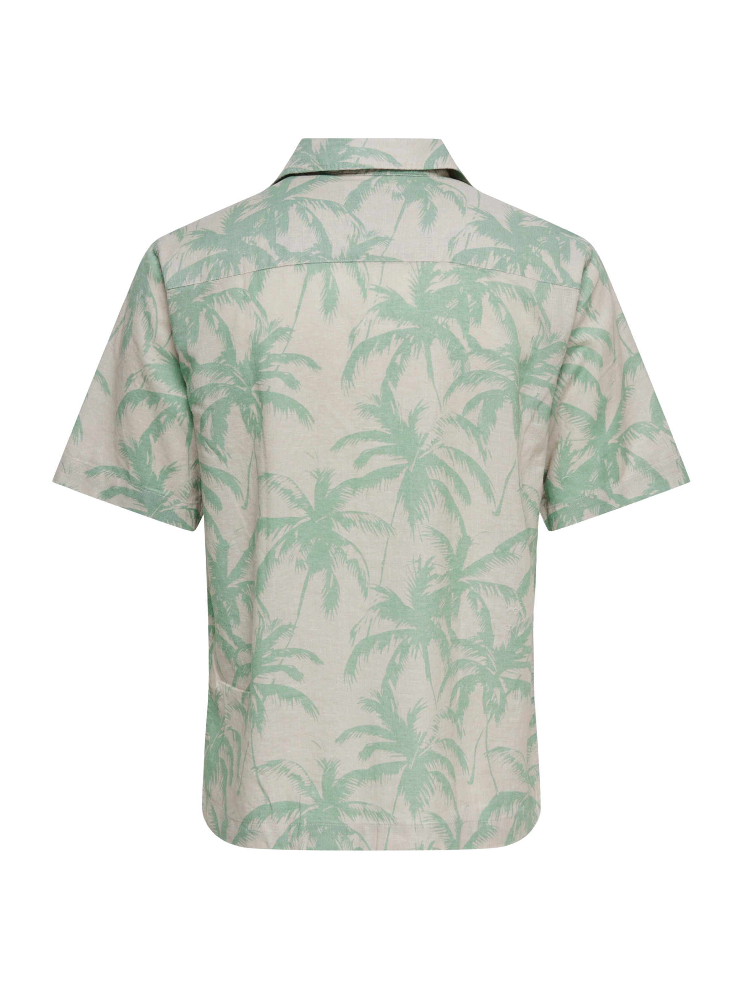 Only & Sons Regular Fit Hemd 'ONSCAIDEN' in Grau