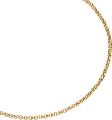 Heideman Necklace in Gold