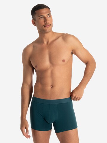Bruno Banani Boxer shorts 'Flowing' in Green: front