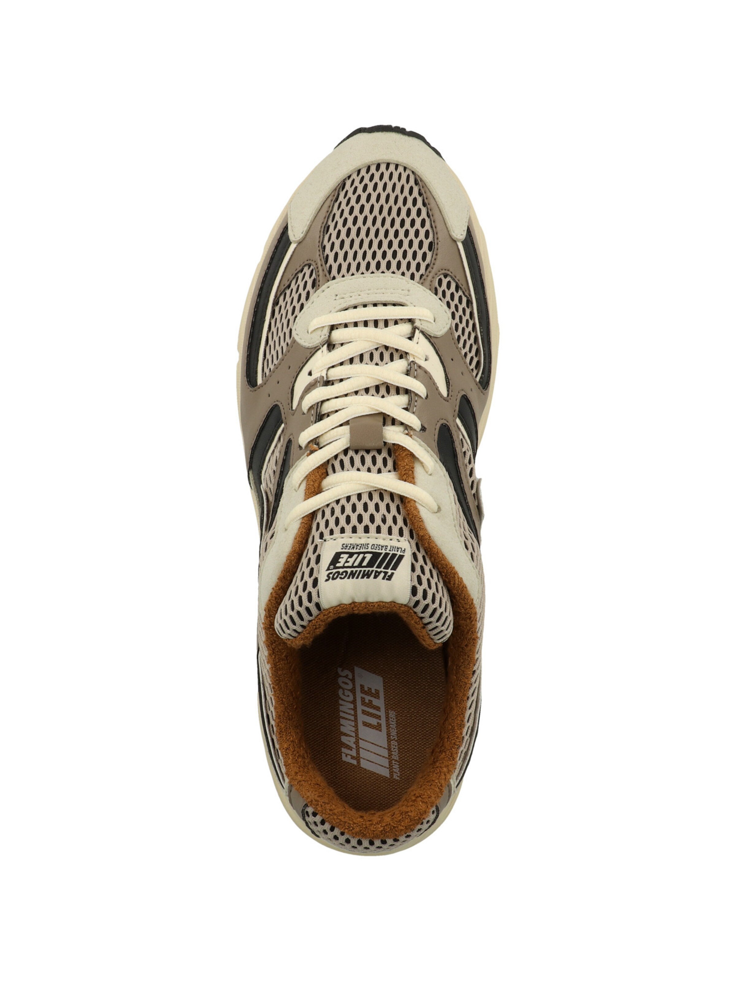 Flamingos' Life Sneakers laag ' Wairoa ' in Gemengde kleuren
