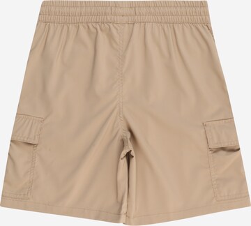 Abercrombie & Fitch Regular Shorts in Braun