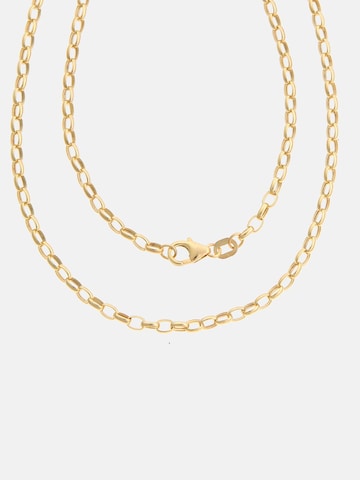Vanlere Kette‌‌‌‌‌‌‌‌‌ in Gold