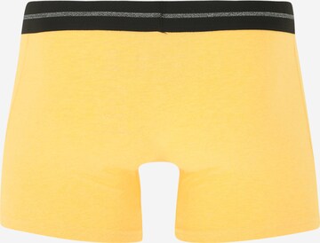 Superdry Boxershorts in Gelb