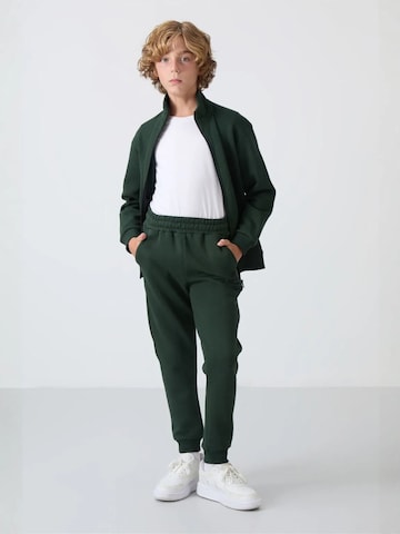 Tommy Life Trainingsanzug 'TOMMY Kinder Active Set'‌‌‌ in Grün