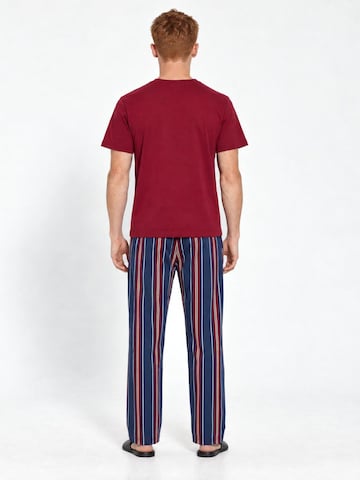Penti Dolga pižama 'Pyjama-Sets' | mešane barve barva