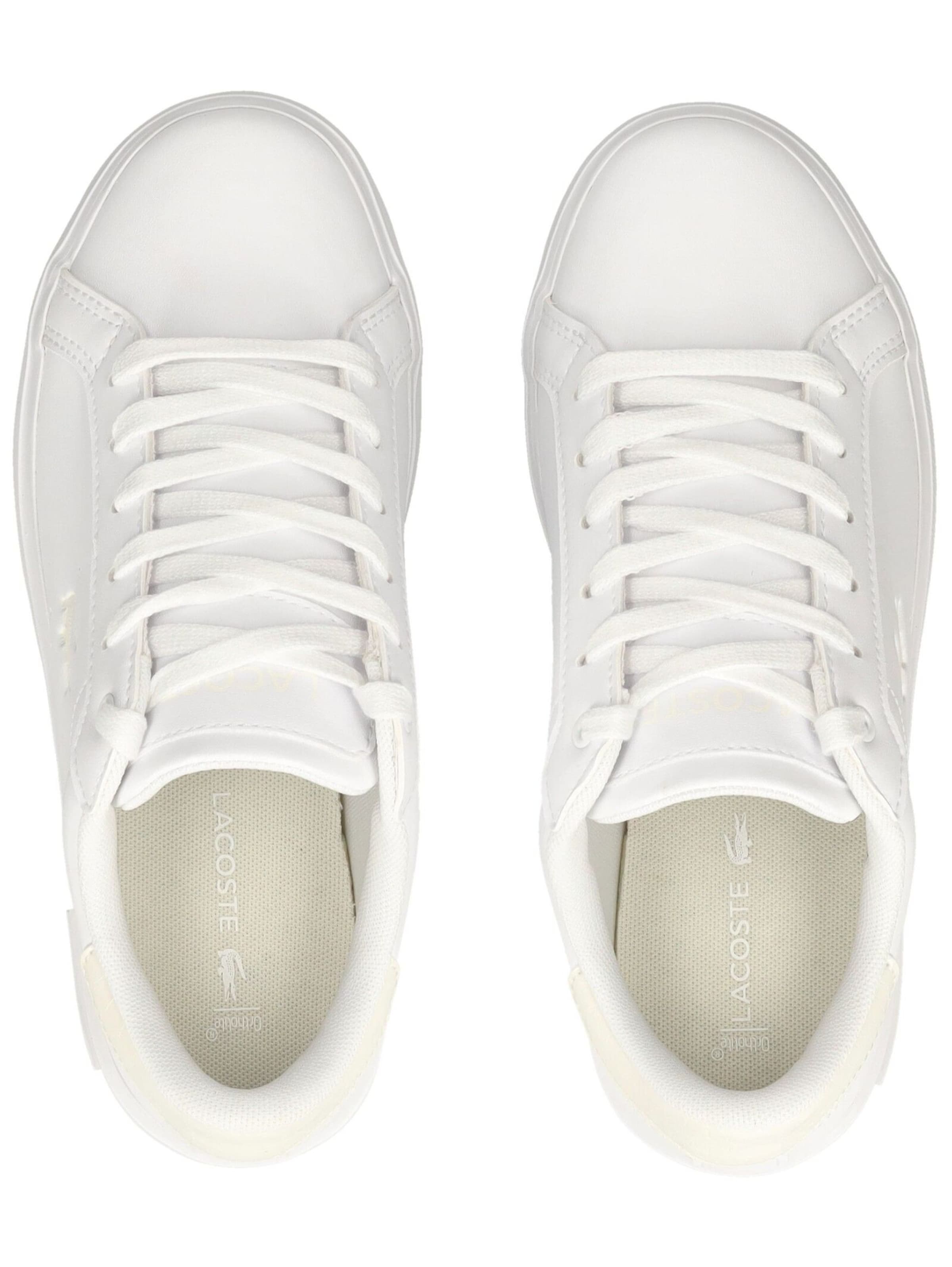 Baskets LACOSTE en blanc