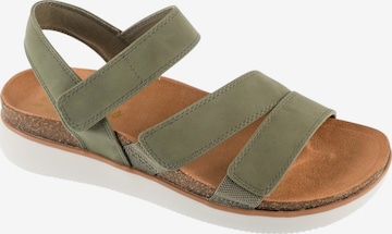 SKECHERS Sandal 'Skechers Lifted Comfort' in Green: front