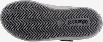 GEOX Sneakers 'Kalispera' in Grey