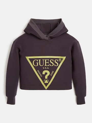 GUESS Sweatshirt in Brown: front