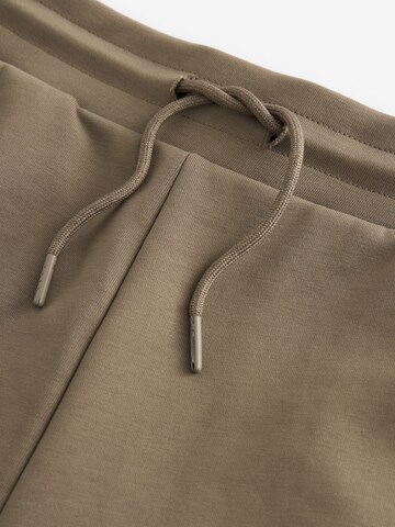 regular Pantaloni di Next in marrone