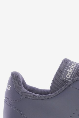 ADIDAS PERFORMANCE Sneaker 38,5 in Grau
