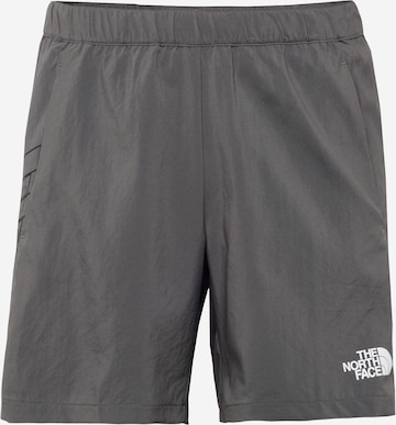 Regular Pantalon de sport THE NORTH FACE en gris : devant