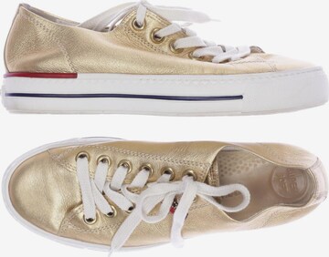 Paul Green Sneakers & Trainers in 38 in Gold: front