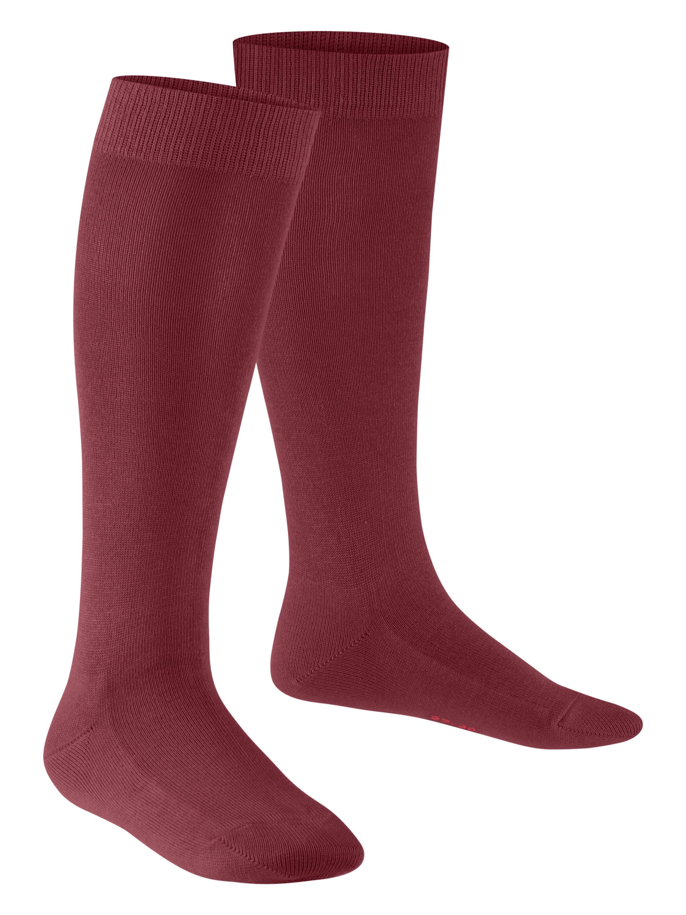 FALKE Socks 'Family' in Red