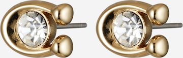 COACH Øreringe i guld: forside