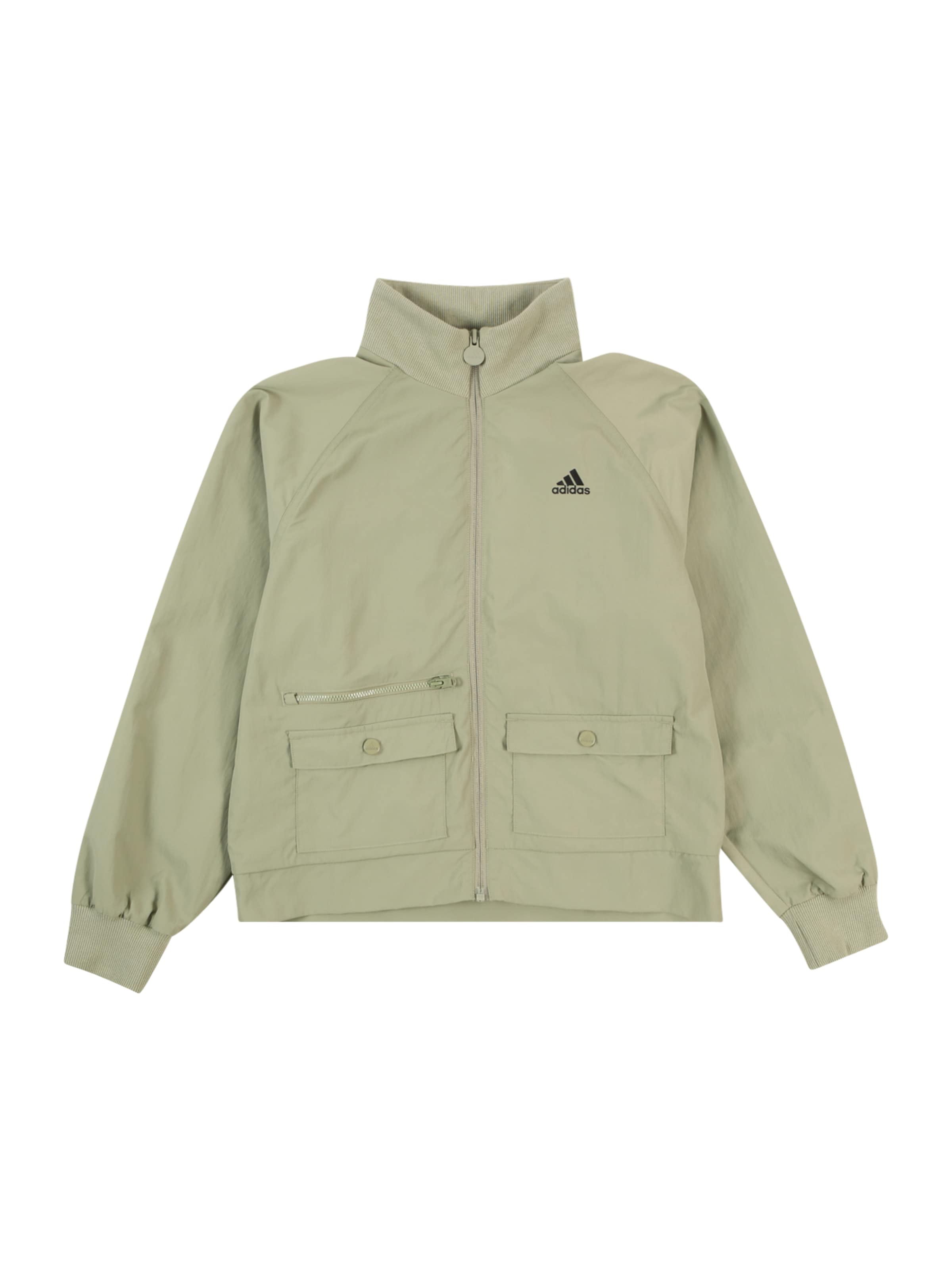 ADIDAS SPORTSWEAR Sportsweatshirt 'Future Icons' in Grün: Vorderseite