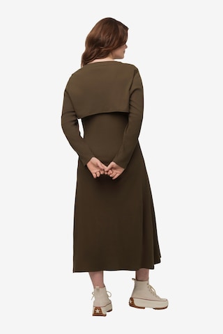Ulla Popken Dress in Brown