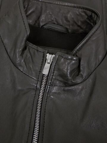 Jilani Tussenjas 'Zinnia' in Zwart