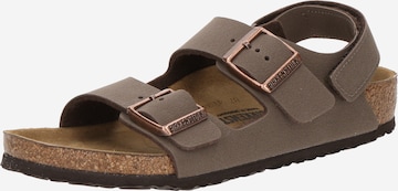 BIRKENSTOCK Avonaiset kengät 'Milano' värissä ruskea: etupuoli