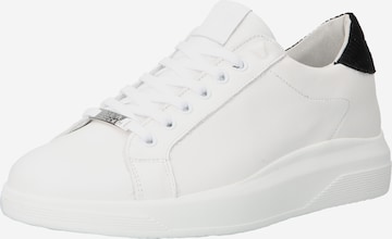 STEVE MADDEN Sneakers laag 'ALEX' in Wit: voorkant