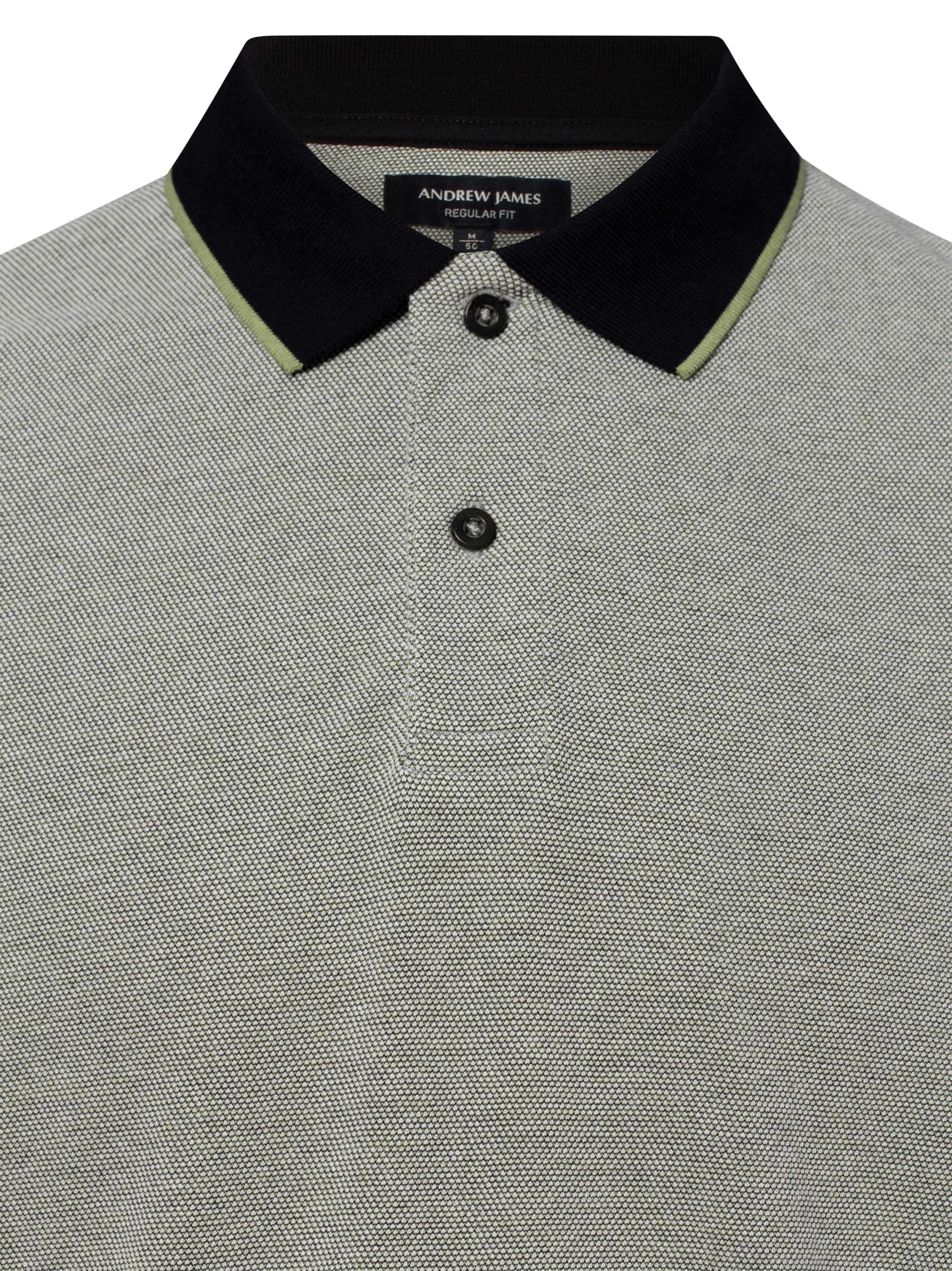 Andrew James Shirt in Green