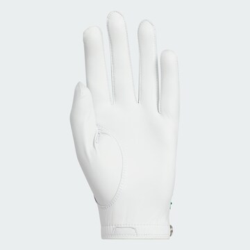 ADIDAS PERFORMANCE Sporthandschoenen in Wit
