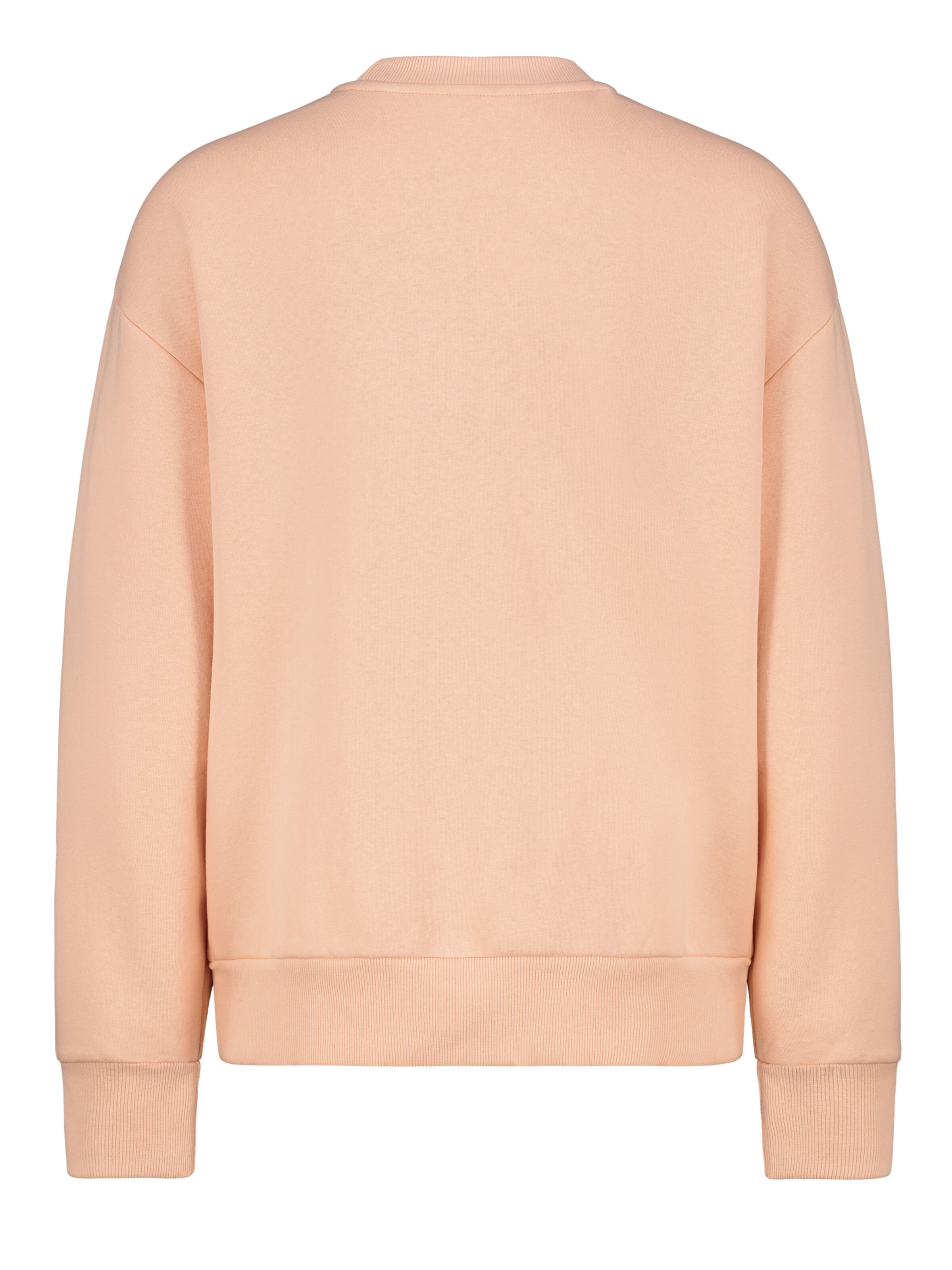 Sublevel Sweatshirt in Orange