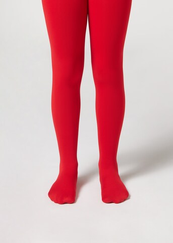 CALZEDONIA Tights in Red: front
