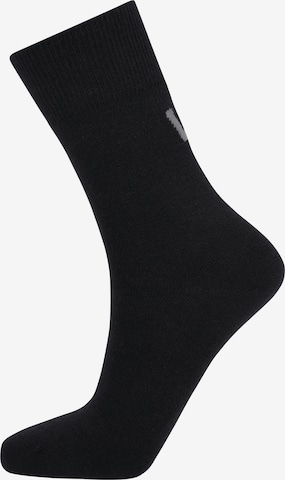 Whistler Socks 'Zappa' in Black: front