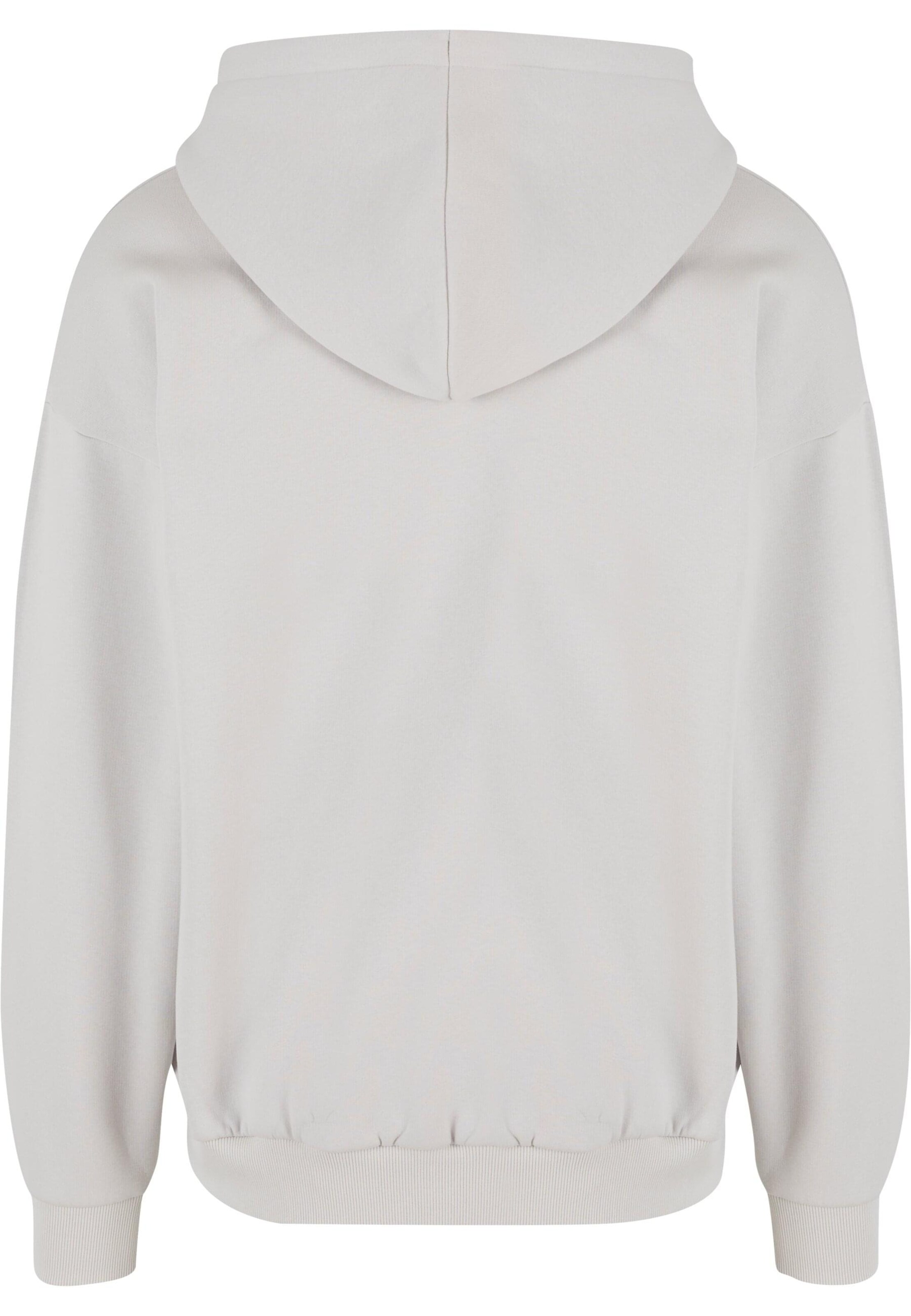 K1X Sweatshirt i grå