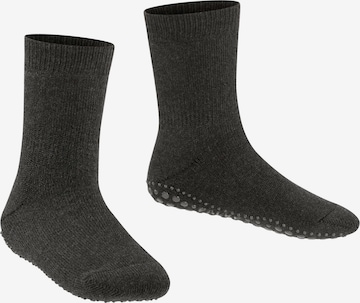 FALKE Urheilusukat 'Catspads' värissä harmaa: etupuoli