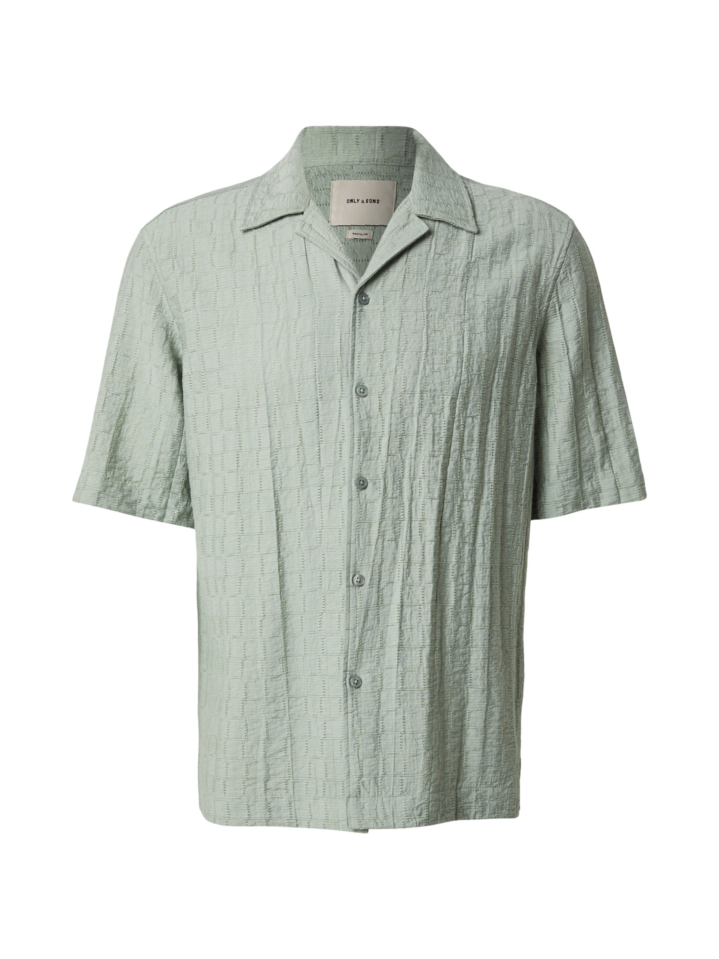 Only & Sons Button Up Shirt 'ONSCARTER' in Green: front