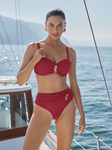 love & roses Push-up Bikini zgornji del | roza barva