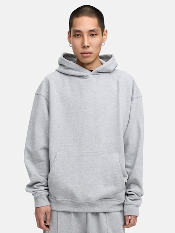 Daily Cotton Sweatshirt 'DCAUSTIN' in Grau: Vorderseite
