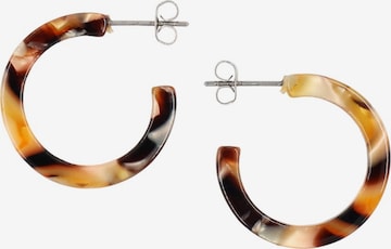 Boucles d'oreilles 'Anni' Fräulein Wunder en marron : devant