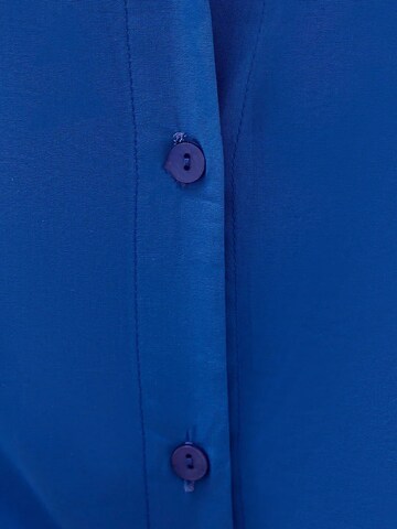 Hiccup Blouse in Blue