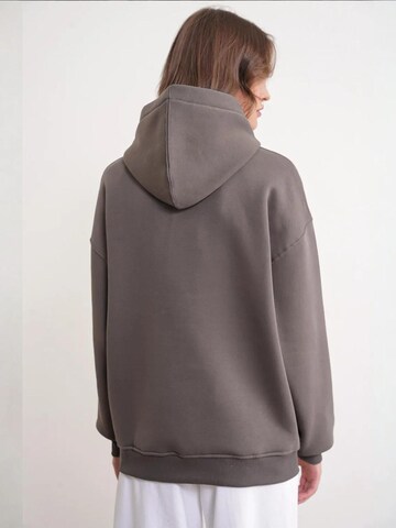 MixRay Sweatshirt 'Kapuzenpullover'‌‌‌‌‌‌‌ in Grau