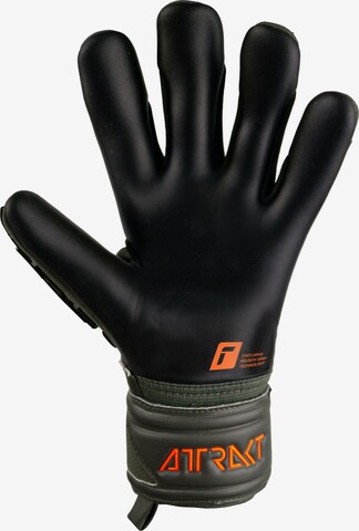 REUSCH Athletic Gloves 'Attrakt Freegel' in Green