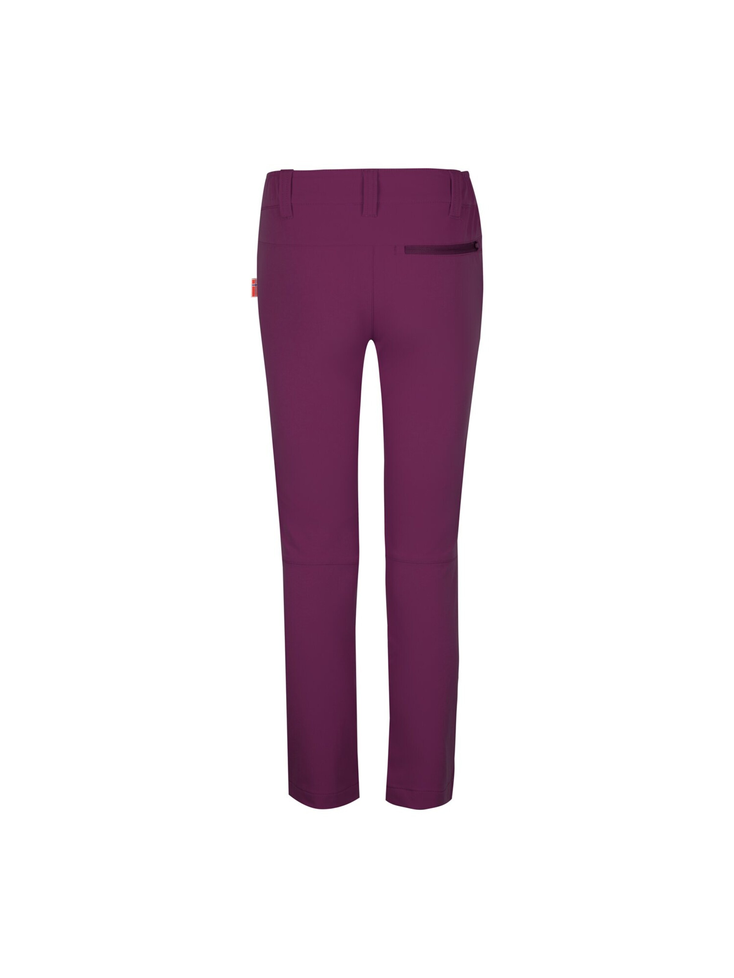 TROLLKIDS Regular Outdoor Pants in Purple