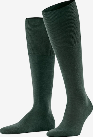 FALKE Knee High Socks 'Airport' in Green: front