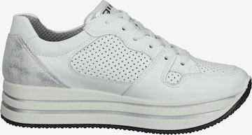 IGI&CO Sneakers in White