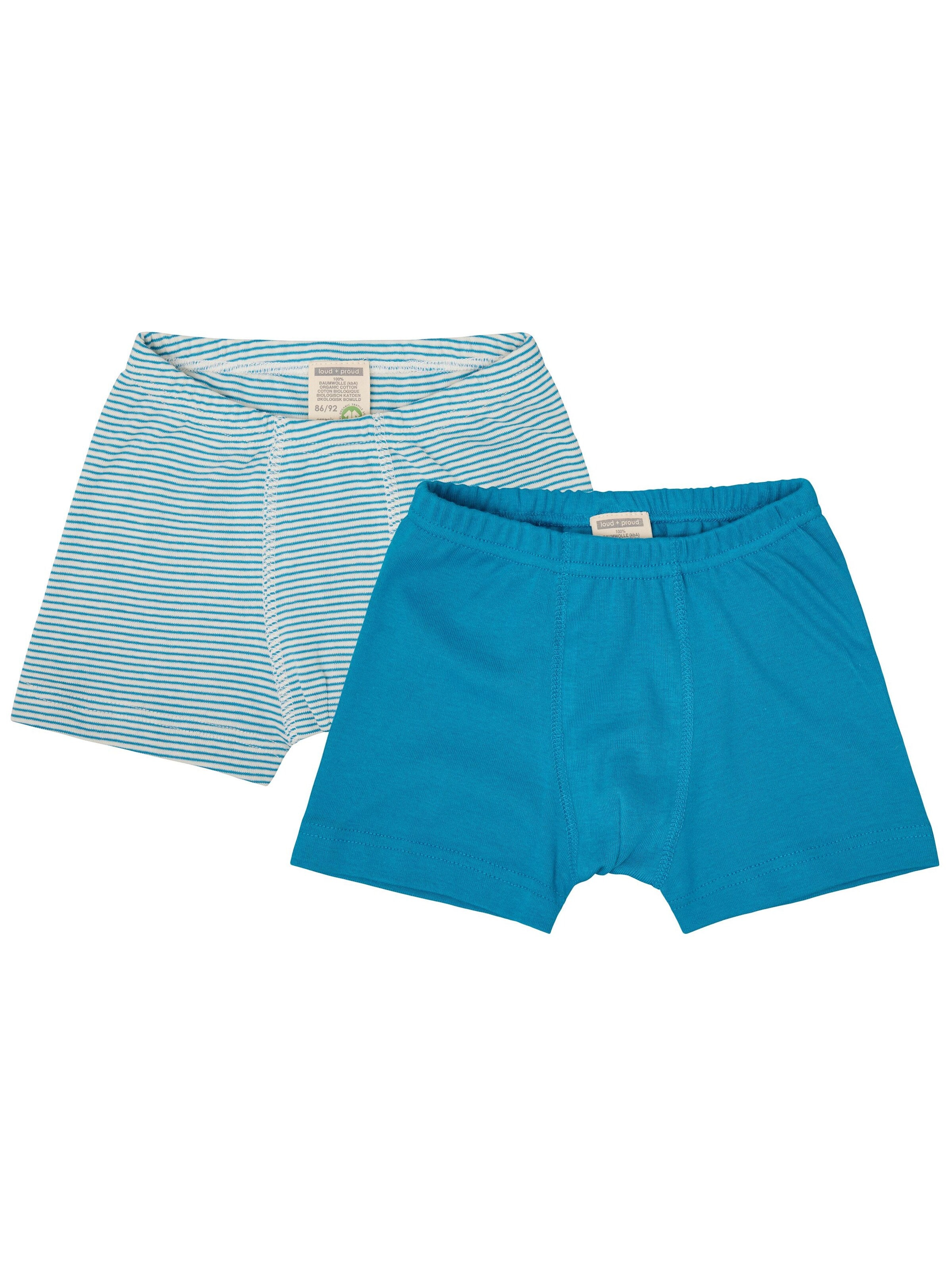 loud + proud Underpants in Green: front