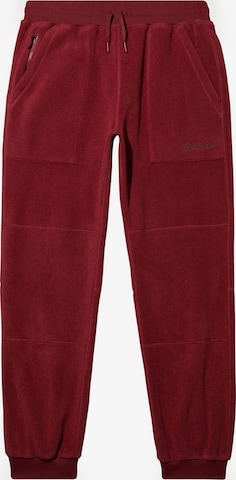 Berghaus Workout Pants in Red: front