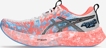 ASICS Laufschuh 'Noosa Tri 16' in Rot: Vorderseite