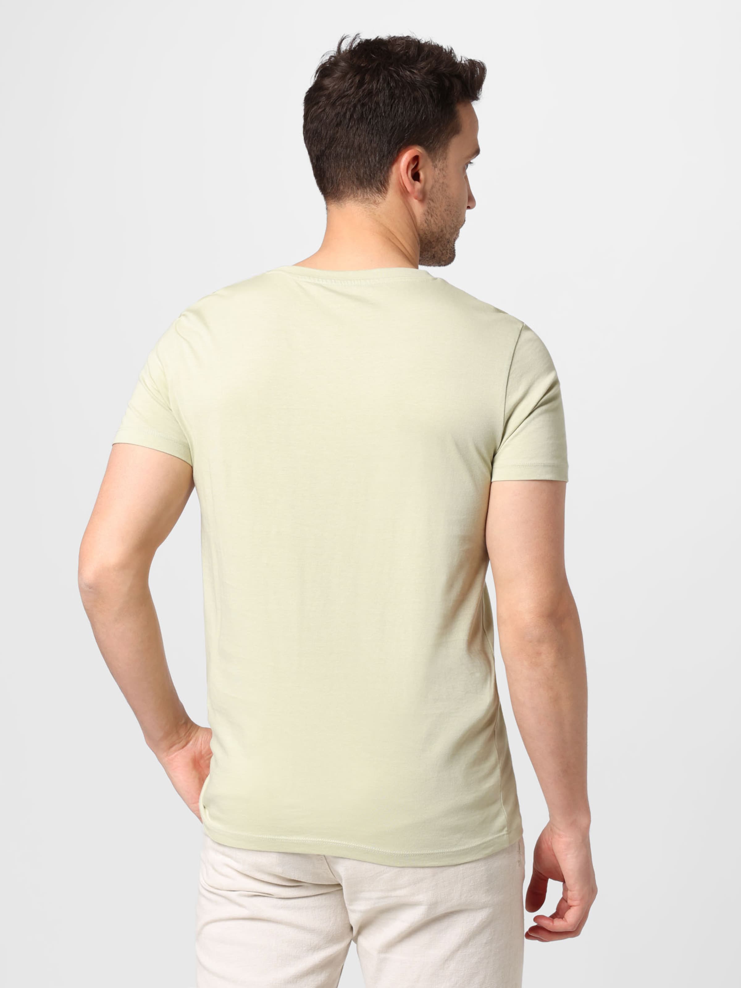 Männer Shirts TOM TAILOR DENIM T-Shirt in Creme - TR66439 Männer Shirts TOM TAILOR DENIM T-Shirt in Creme - TR66439